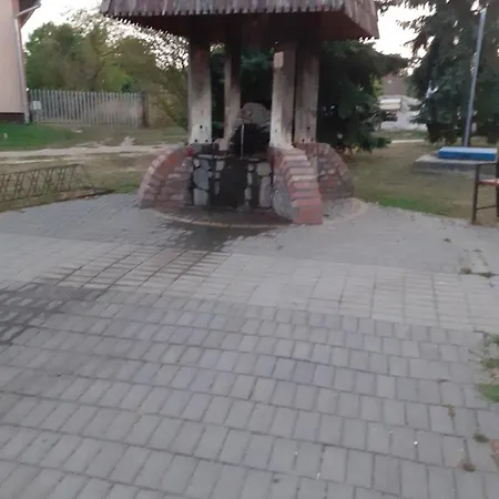 Borostyan Vendeghaz Tiszaug
