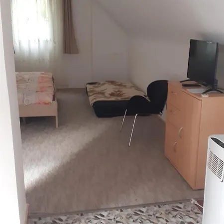 Borostyan Vendeghaz * Tiszaug