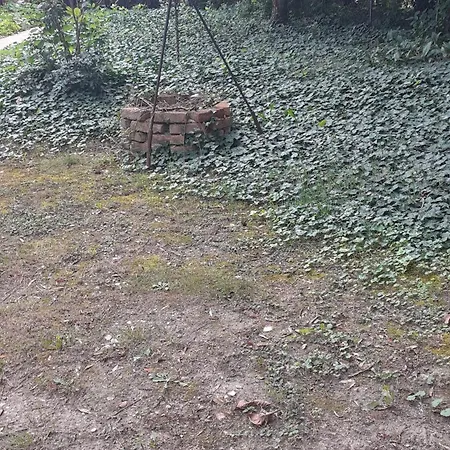 Borostyan Vendeghaz *