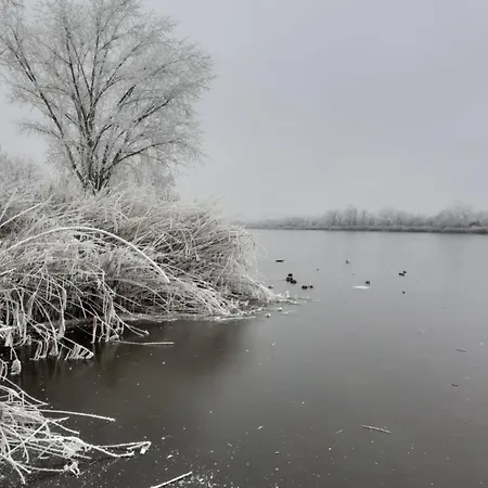 Borostyan Vendeghaz شقة Tiszaug
