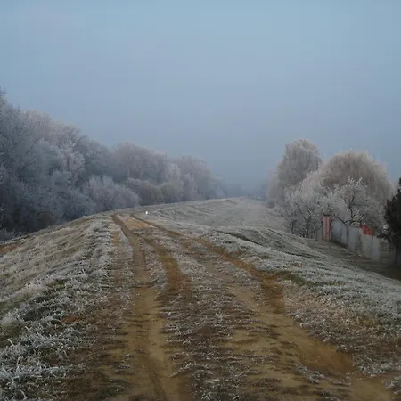 Borostyan Vendeghaz * Tiszaug