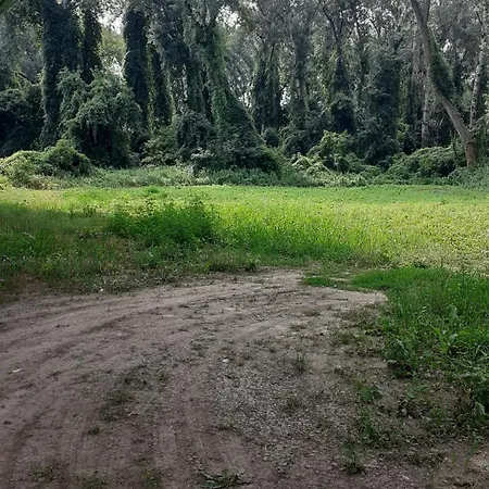 Borostyan Vendeghaz شقة Tiszaug