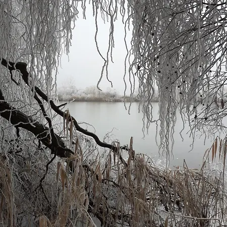 Borostyan Vendeghaz