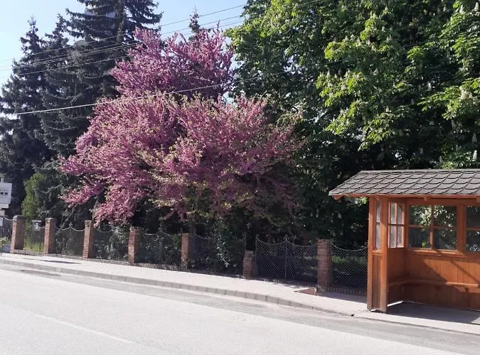 Apartament Borostyan Vendeghaz