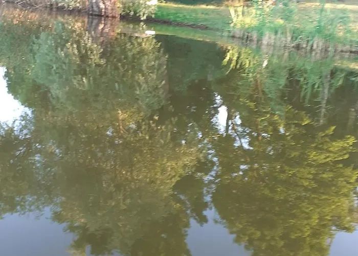 Apartament Borostyan Vendeghaz *