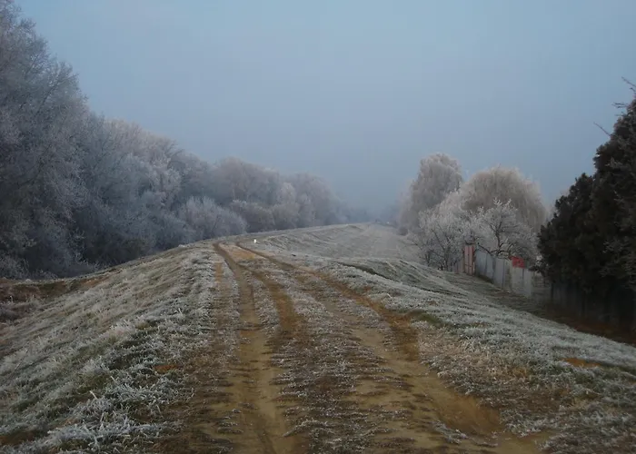 Borostyan Vendeghaz * Tiszaug